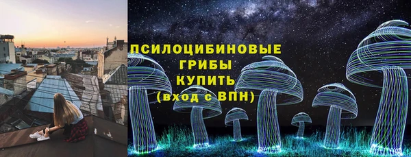 соль ск Балабаново