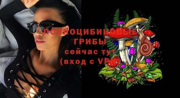 соль ск Балабаново